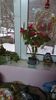 IMG-20231219-WA0000