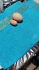 IMG-20231203-WA0000