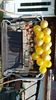 IMG-20230611-WA0002