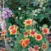IMG-20240715-WA0138