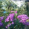 IMG-20240715-WA0139