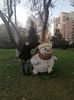 IMG-20201212-WA0033