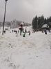 IMG-20201129-WA0029