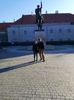IMG-20211103-WA0009