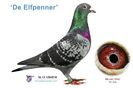 nl13-1264516_de-elfpenner_vliet