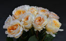 Beatrice (tufa) 70