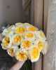 Beatrice (tufa) 70
