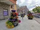 IMG20240727122102
