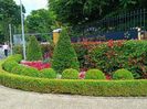 IMG20240727151319