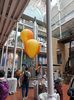 IMG20240731152819