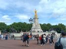 IMG20240803112024