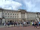 IMG20240803112032