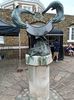IMG20240803141107