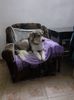 IMG-20240225-WA0004