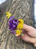 IMG-20240310-WA0016
