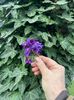 IMG-20240310-WA0025