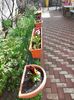 IMG-20240317-WA0010
