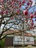 IMG-20240317-WA0011