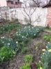 IMG-20240317-WA0013