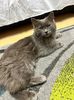 IMG-20240321-WA0000