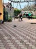 IMG-20240327-WA0007