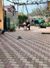 IMG-20240327-WA0008