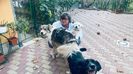 IMG-20231015-WA0009