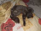 IMG-20231123-WA0004