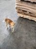 IMG-20231211-WA0002