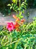 IMG20240715075917
