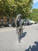 Img.2024.08.12