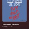 • cupcakes got “Turn Down for What” by DJ Snake & Lil Jon. +