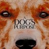 　　 ౿ Maktub got A Dog's Purpose.