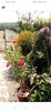 Screenshot_20240811_141550_com.facebook.katana