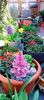 IMG-20240327-WA0012