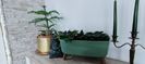 IMG-20240315-WA0002