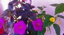 20240819_092752 - Copy