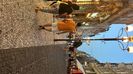 62D05A62-4151-41D7-862A-AA163D0915CA