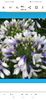 Screenshot_20240818_010628_com.android.chrome