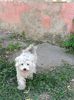 IMG.2024.08.23-no coment