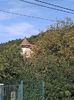 Img.2024.08.23-Copșa Mare