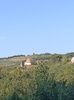 Img.2024.08.23