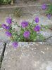 Img.2024.08.08