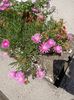 Img.2024.08.12