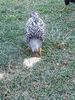 IMG20240820171015