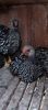IMG20240815203552