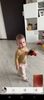 Screenshot_20240517_165652_WhatsApp