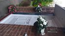 IMG-20240823-WA0061
