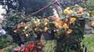 IMG-20240823-WA0044