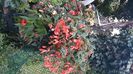 IMG-20240823-WA0051